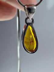 Baltic Amber Sterling Silver Pendant