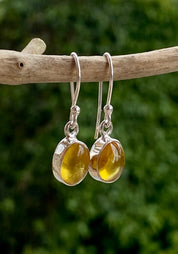 Baltic Amber Sterling Silver Drop Earrings