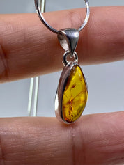 Baltic Amber Sterling Silver Pendant