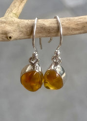 Baltic Amber Sterling Silver Drop Earrings