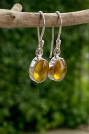 Baltic Amber Sterling Silver Drop Earrings