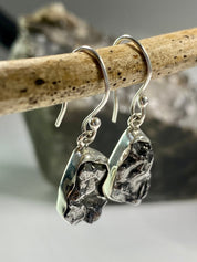 Meteorite Campo Del Cielo and Silver Dangle Earrings