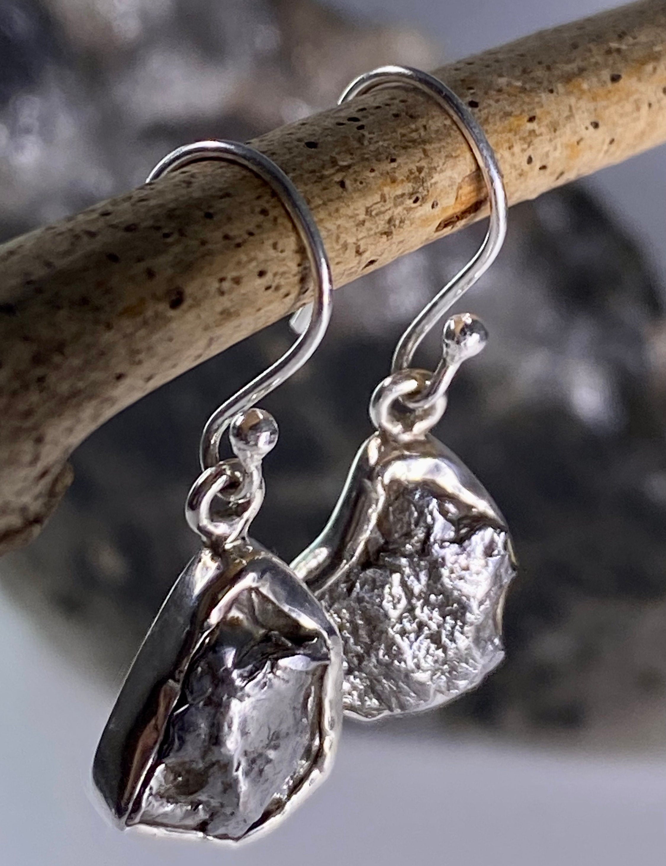 Meteorite Campo Del Cielo and Silver Dangle Earrings