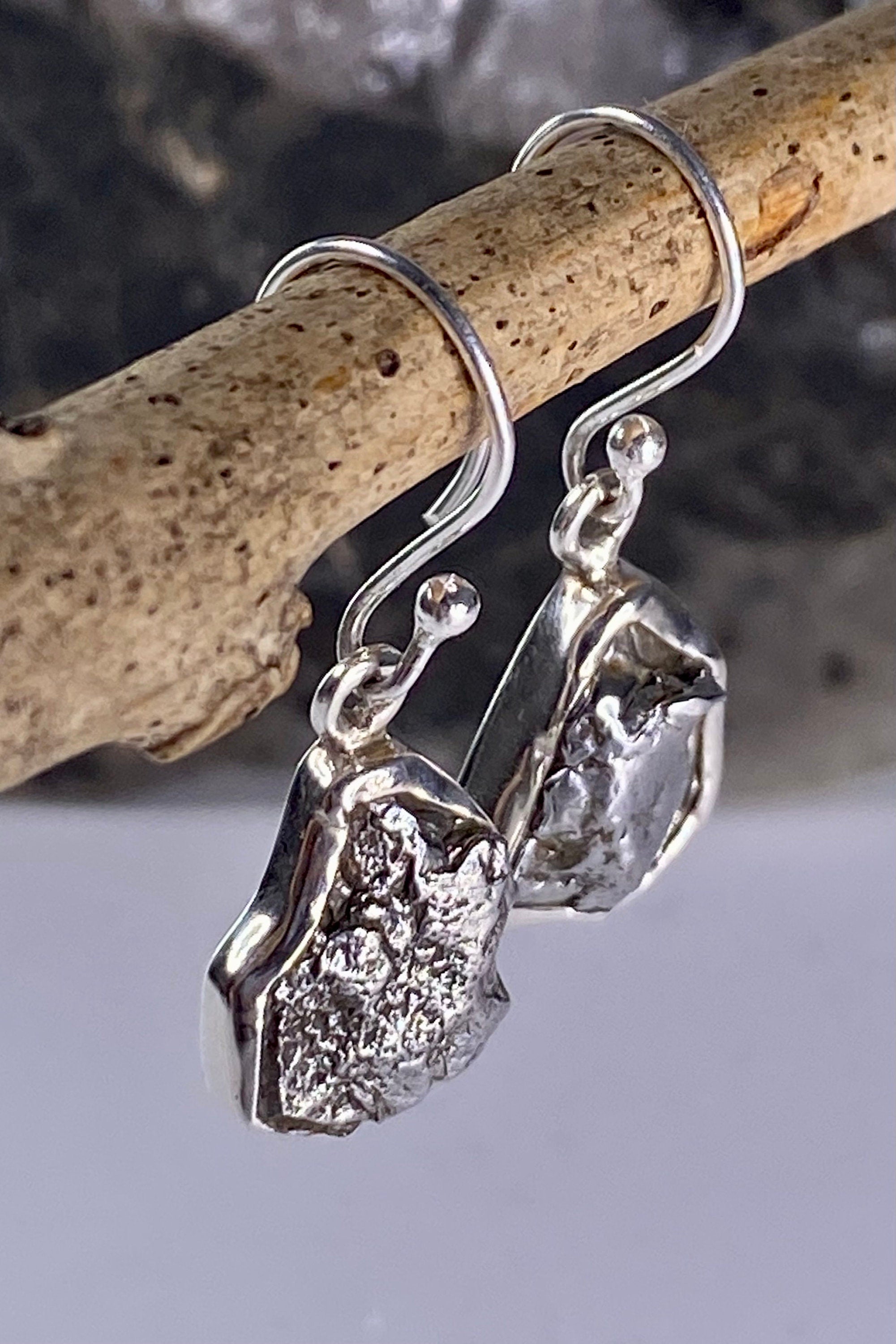 Meteorite Campo Del Cielo and Silver Dangle Earrings