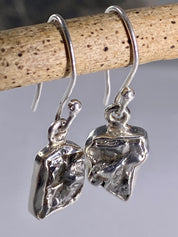 Meteorite Campo Del Cielo and Silver Dangle Earrings