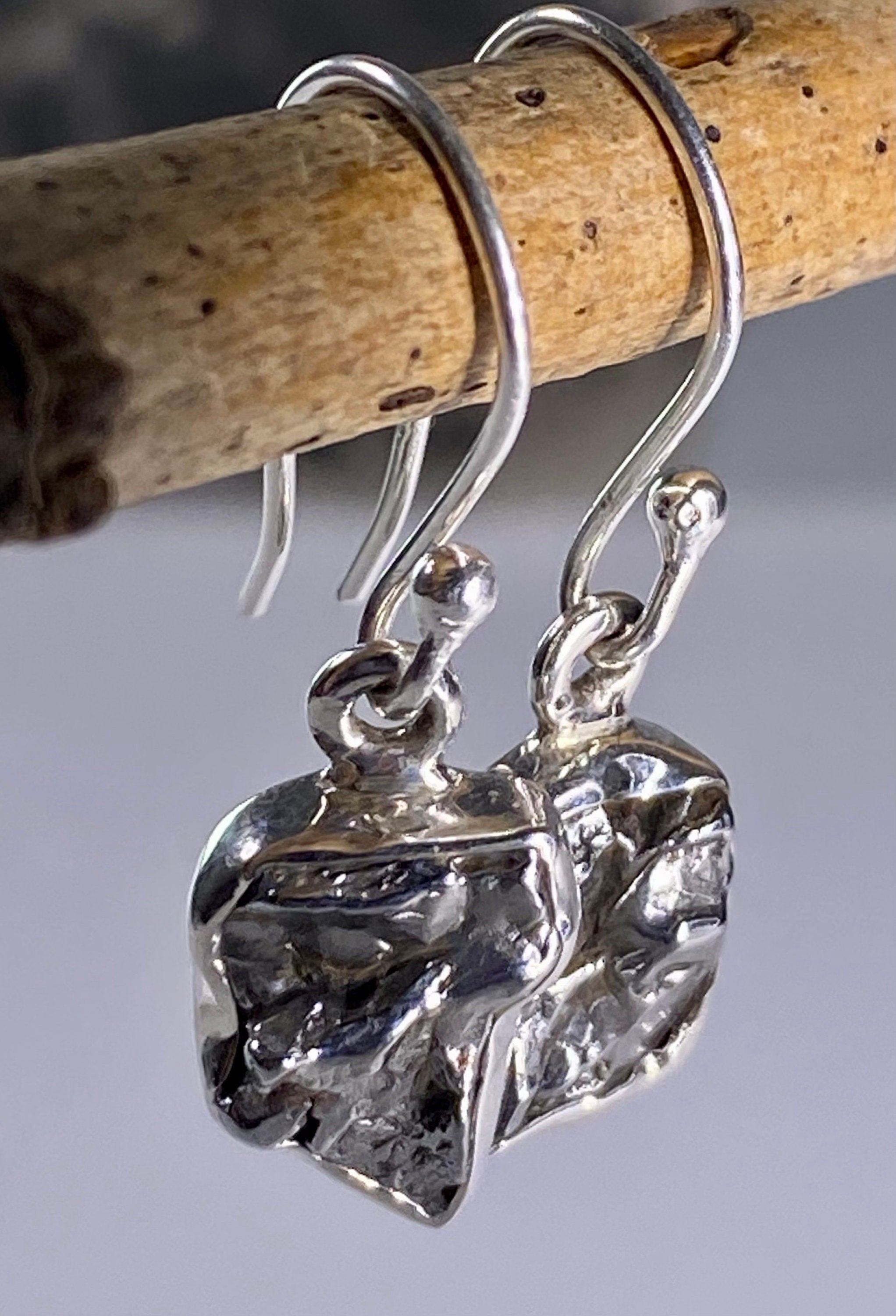 Meteorite Campo Del Cielo and Silver Dangle Earrings