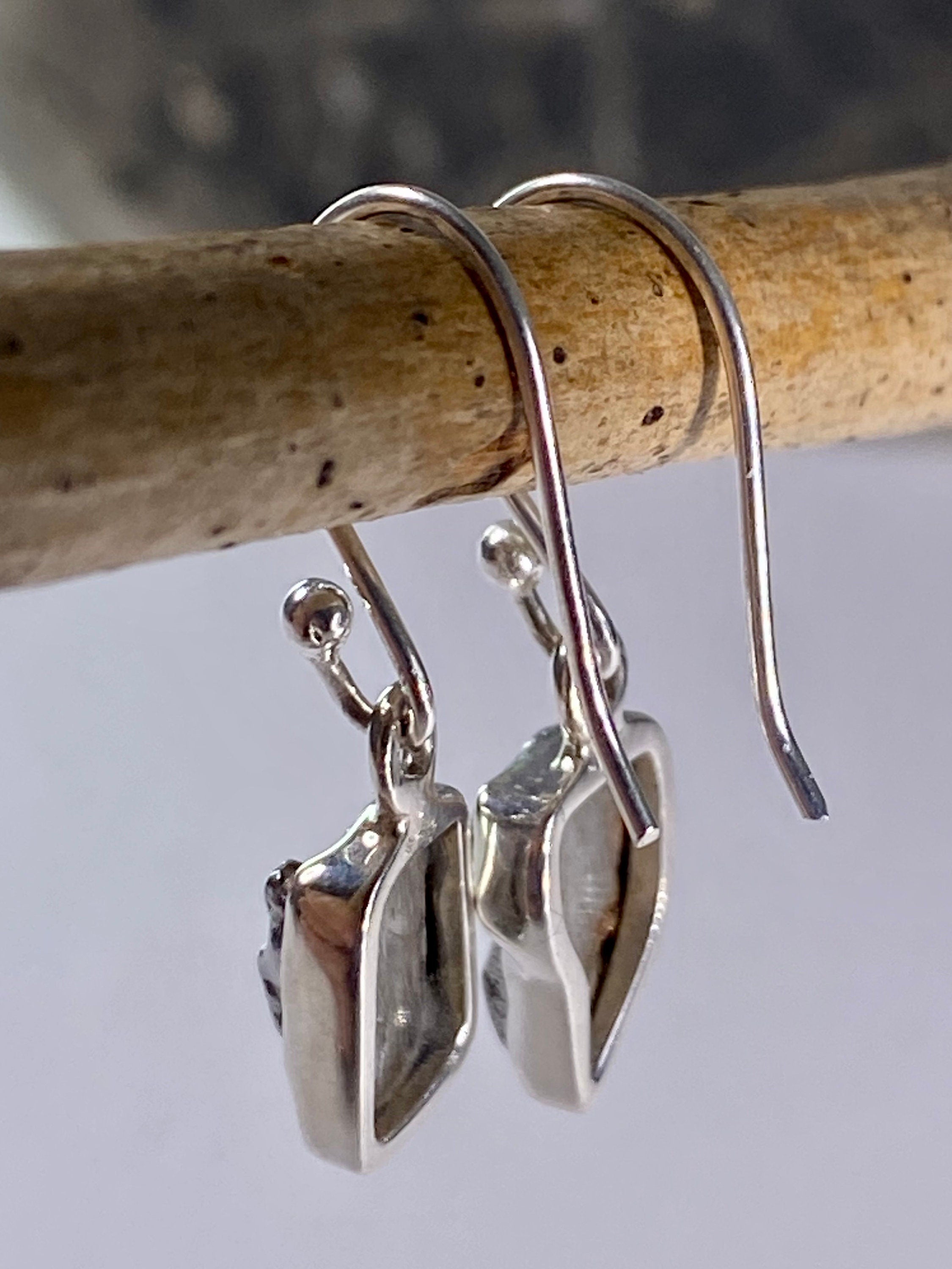 Meteorite Campo Del Cielo and Silver Dangle Earrings