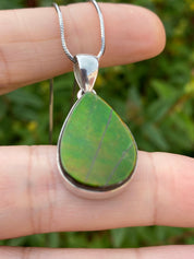 Ammolite Silver Pendant