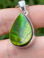 Ammolite Silver Pendant