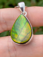 Ammolite Silver Pendant