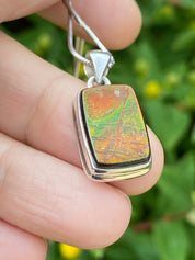 Ammolite Silver Pendant