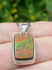 Ammolite Silver Pendant