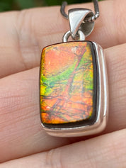 Ammolite Silver Pendant