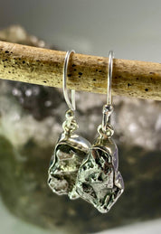 Meteorite Campo Del Cielo and Silver Dangle Earrings