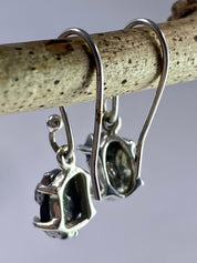 Meteorite Campo Del Cielo and Silver Dangle Earrings