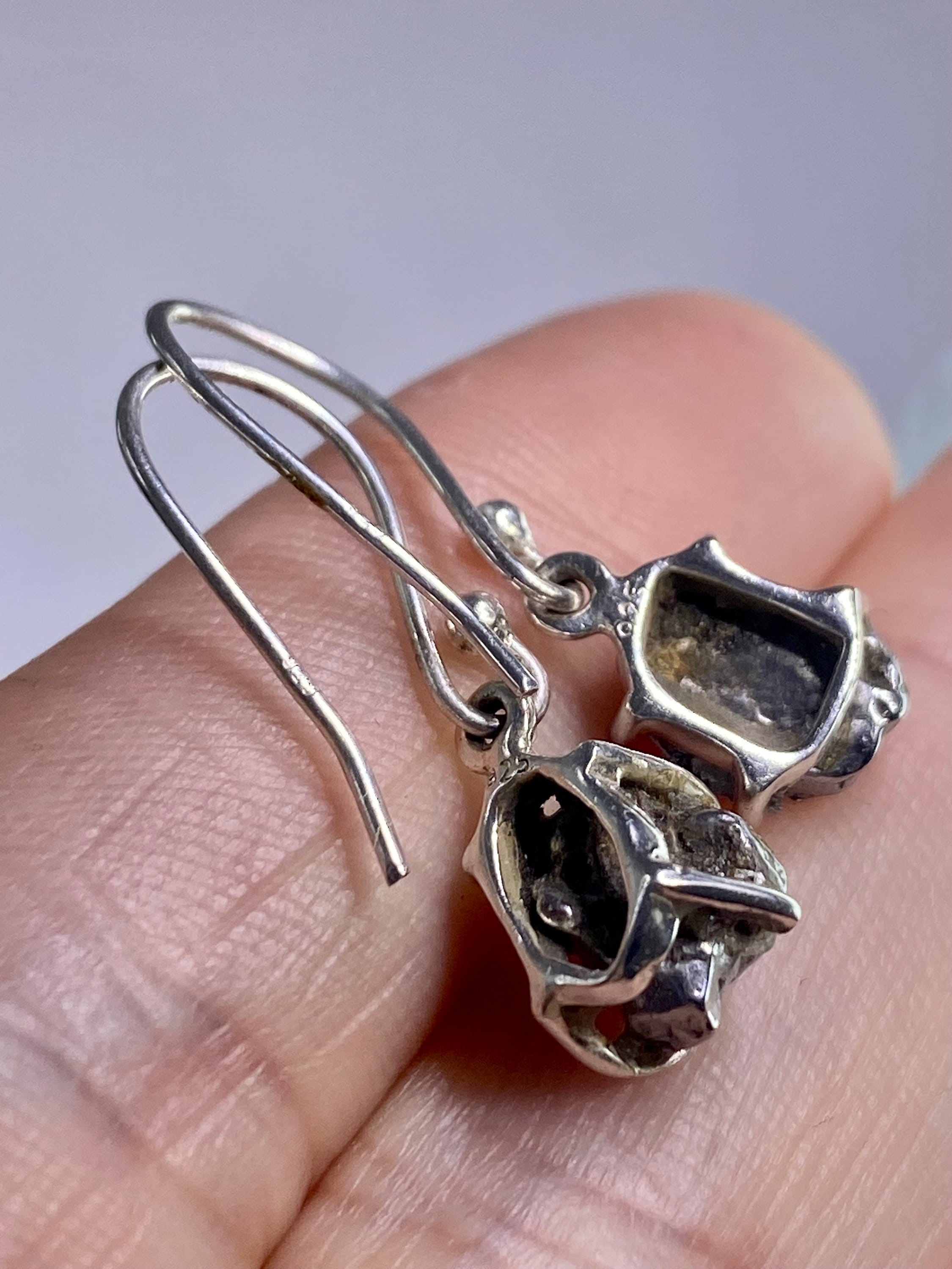 Meteorite Campo Del Cielo and Silver Dangle Earrings