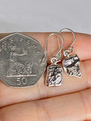 Meteorite Campo Del Cielo and Silver Dangle Earrings