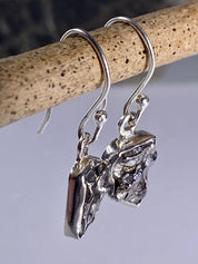 Meteorite Campo Del Cielo and Silver Dangle Earrings