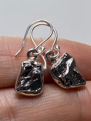 Meteorite Campo Del Cielo and Silver Dangle Earrings