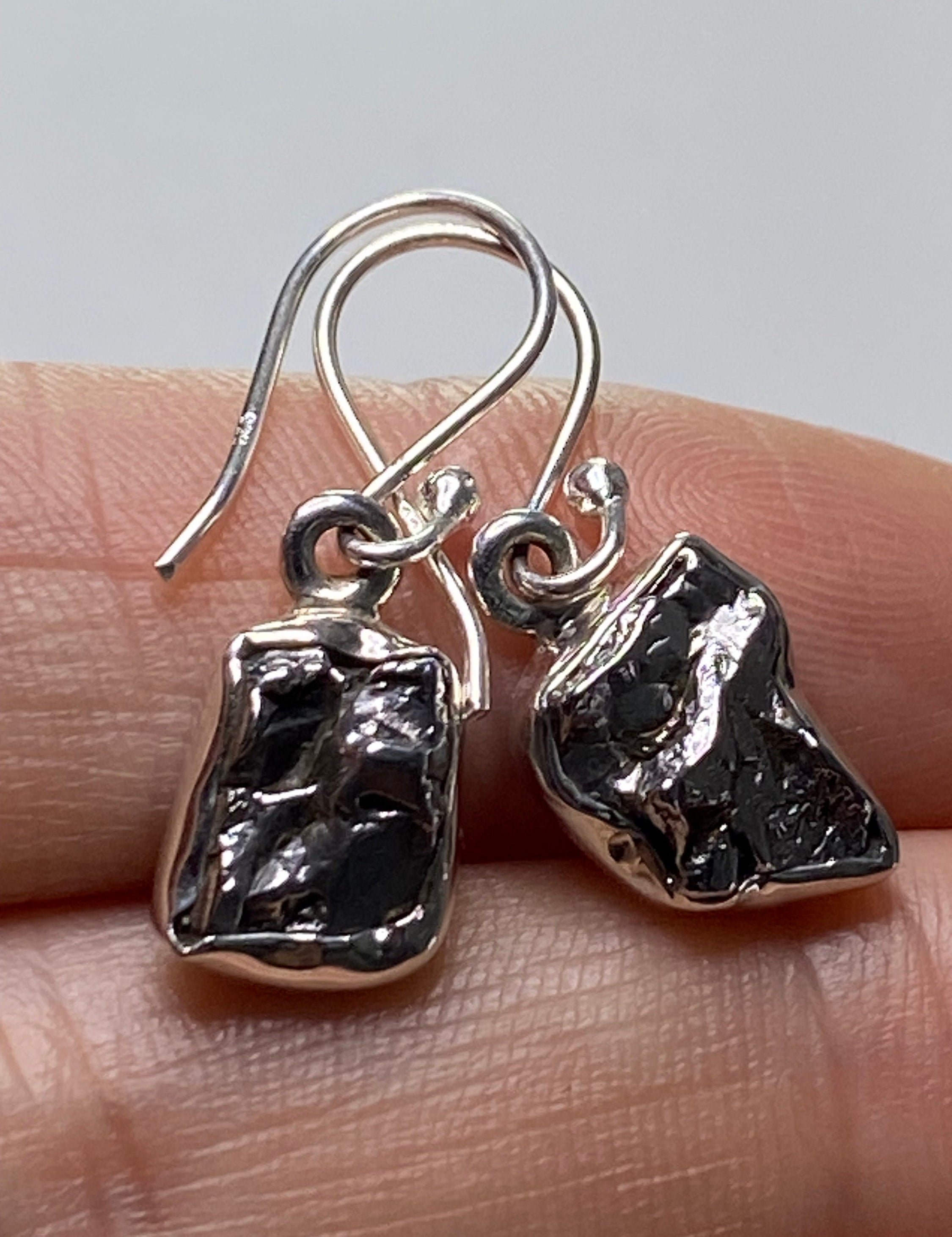 Meteorite Campo Del Cielo and Silver Dangle Earrings