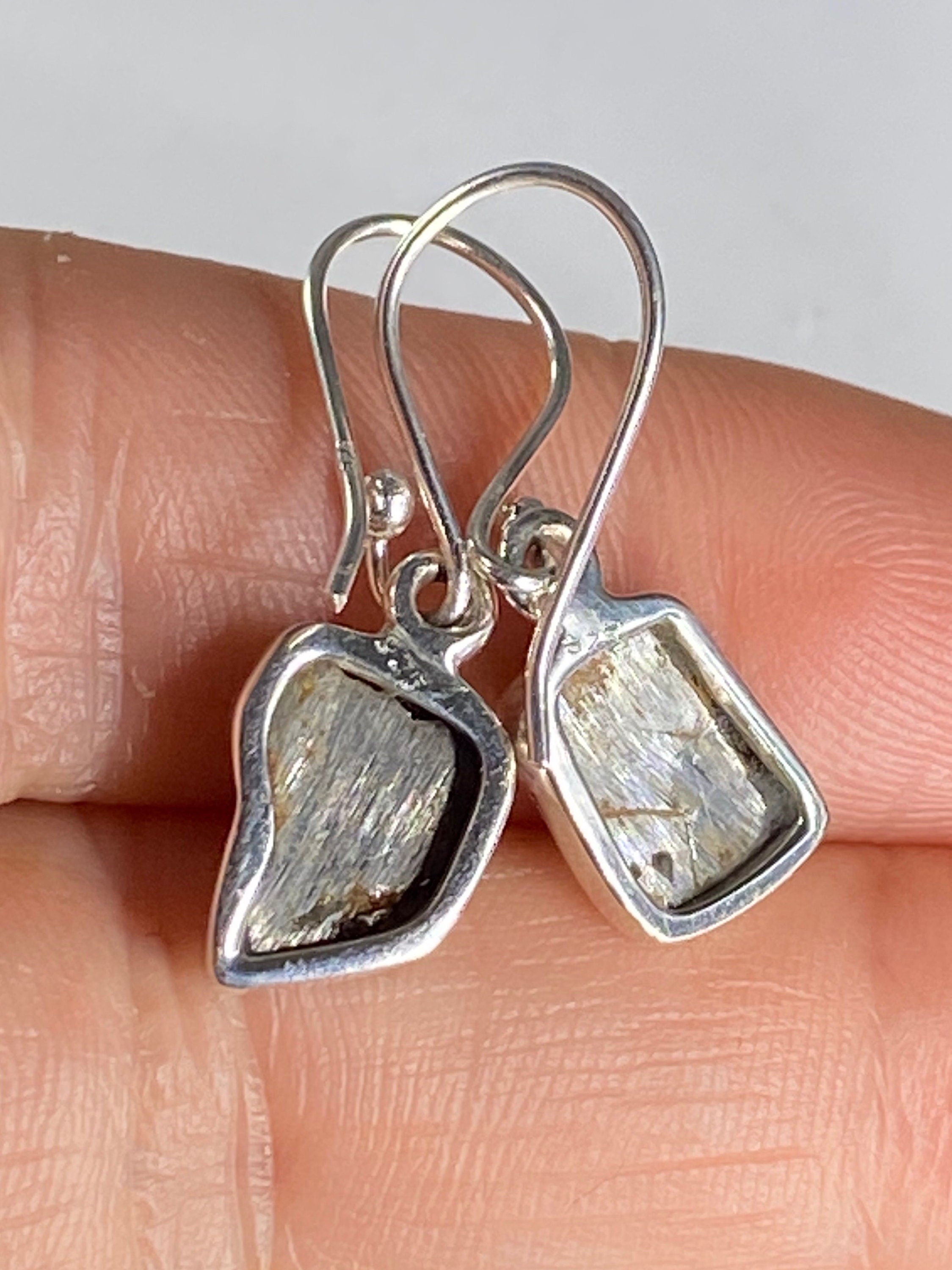 Meteorite Campo Del Cielo and Silver Dangle Earrings