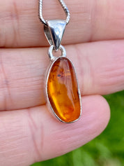 Baltic Amber Sterling Silver Pendant