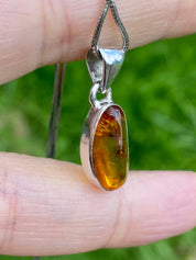 Baltic Amber Sterling Silver Pendant