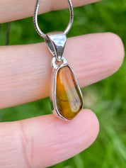 Baltic Amber Sterling Silver Pendant