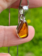 Baltic Amber Sterling Silver Pendant