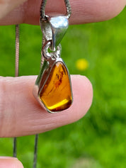 Baltic Amber Sterling Silver Pendant