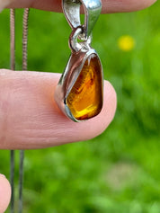 Baltic Amber Sterling Silver Pendant