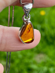 Baltic Amber Sterling Silver Pendant