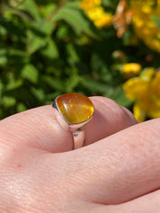 Baltic Amber Sterling Silver Ring