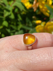 Baltic Amber Sterling Silver Ring