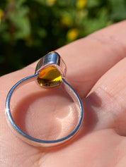 Baltic Amber Sterling Silver Ring