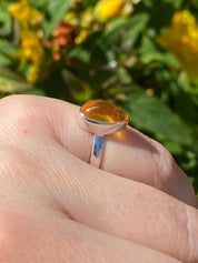 Baltic Amber Sterling Silver Ring