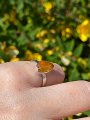 Baltic Amber Sterling Silver Ring