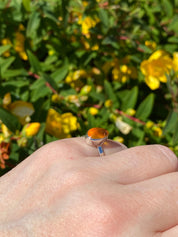 Baltic Amber Sterling Silver Ring