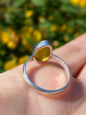 Baltic Amber Sterling Silver Ring