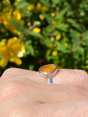 Baltic Amber Sterling Silver Ring