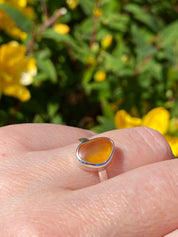 Baltic Amber Sterling Silver Ring