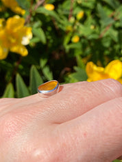 Baltic Amber Sterling Silver Ring