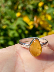 Baltic Amber Sterling Silver Ring