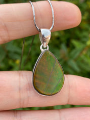 Ammolite Silver Pendant