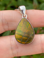 Ammolite Silver Pendant