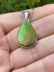 Ammolite Silver Pendant