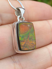 Ammolite Silver Pendant