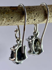 Meteorite Campo Del Cielo and Silver Dangle Earrings