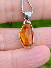 Baltic Amber Sterling Silver Pendant