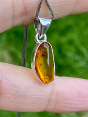 Baltic Amber Sterling Silver Pendant